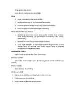 Prakses atskaite 'Pedagoģiskā prakse vizuālajā mākslā un audzinātājdarbā', 9.