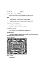 Prakses atskaite 'Pedagoģiskā prakse vizuālajā mākslā un audzinātājdarbā', 20.