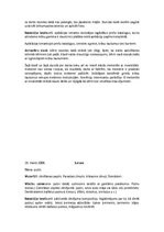 Prakses atskaite 'Pedagoģiskā prakse vizuālajā mākslā un audzinātājdarbā', 37.