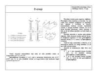 Konspekts 'Ēvelzāģi', 1.