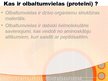 Prezentācija 'Olbaltumvielu uzbūve', 2.