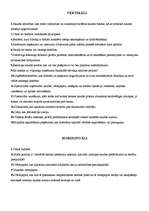 Konspekts 'Krustvārdu mīkla priekšmetā finanses un kredīti', 1.