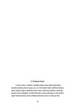 Referāts 'Nekustamā īpašuma pirkuma līgums', 20.