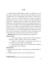 Referāts 'Cilvēktiesību pamati', 2.