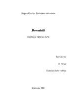 Referāts 'Sporta veids "downhill"', 1.