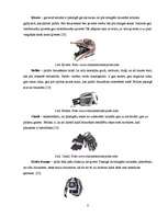 Referāts 'Sporta veids "downhill"', 8.