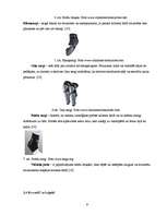 Referāts 'Sporta veids "downhill"', 9.