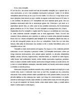 Referāts 'Sporta veids "downhill"', 10.