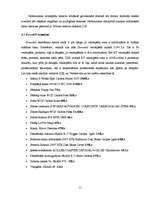 Referāts 'Sporta veids "downhill"', 11.