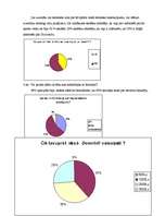 Referāts 'Sporta veids "downhill"', 17.