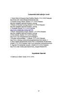 Referāts 'Sporta veids "downhill"', 20.