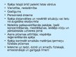 Prezentācija 'Indigo bērni', 6.