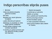 Prezentācija 'Indigo bērni', 12.