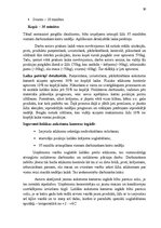 Prakses atskaite 'Prakses atskaite', 16.