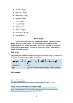 Konspekts 'Arābu kaligrāfija', 3.