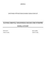 Referāts 'Spektroskopija', 1.