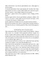 Referāts 'Vides pārvaldības pārskats Ādažu pašvaldībā', 28.