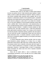 Referāts 'Latvijas Republikas ārējās tirdzniecības raksturojums un perspektīvas', 9.