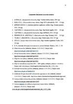 Referāts 'Latvijas Republikas ārējās tirdzniecības raksturojums un perspektīvas', 31.