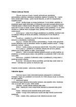 Konspekts 'Dzejas teorija', 3.