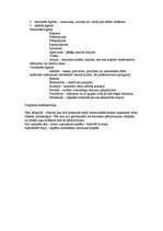 Konspekts 'Dzejas teorija', 4.