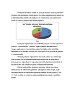 Referāts 'AS "Latvijas balzams" dzēriens "Rīgas dzirkstošais bezalkoholiskais"', 17.