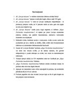 Referāts 'AS "Latvijas balzams" dzēriens "Rīgas dzirkstošais bezalkoholiskais"', 18.