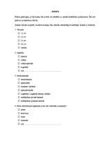 Referāts 'Interneta izmantojums mūsdienu sabiedrībā', 2.