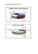 Referāts 'Interneta izmantojums mūsdienu sabiedrībā', 4.