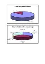 Referāts 'Interneta izmantojums mūsdienu sabiedrībā', 6.