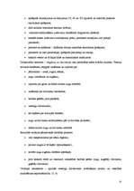 Diplomdarbs 'Dabaszinību un matemātikas integratīvā saistība sākumskolā', 31.