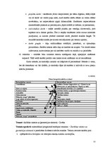 Diplomdarbs 'Dabaszinību un matemātikas integratīvā saistība sākumskolā', 33.