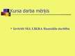 Prezentācija 'Prezentācija kursadarbam "SIA X finansiālās darbības analīze"', 2.