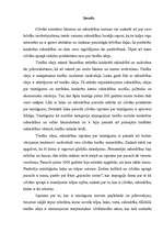 Referāts 'Tiesību izcelšanās teorijas', 3.