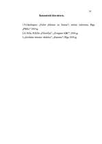 Referāts 'Tiesību izcelšanās teorijas', 17.