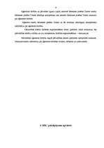 Prakses atskaite 'P/a "Rēzeknes Biznesa centrs"', 6.