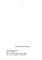 Prakses atskaite 'P/a "Rēzeknes Biznesa centrs"', 21.