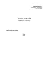 Paraugs 'Sirds automātija', 1.