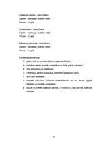 Biznesa plāns 'SIA "Piejūras TV"', 10.