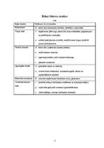 Biznesa plāns 'SIA "Piejūras TV"', 11.