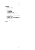 Biznesa plāns 'Skolēnu mācību uzņēmums - aromātisko maisiņu ražošana', 2.