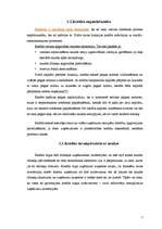 Referāts 'Banku piedāvāto kredītu raksturojums', 9.