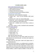 Referāts 'Banku piedāvāto kredītu raksturojums', 10.