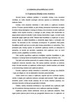 Referāts 'Banku piedāvāto kredītu raksturojums', 12.