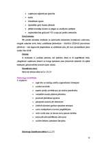 Referāts 'Banku piedāvāto kredītu raksturojums', 20.