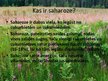 Prezentācija 'Saharoze', 2.