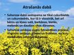 Prezentācija 'Saharoze', 8.