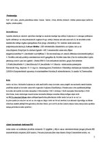 Konspekts 'Terapijas konspekts', 3.