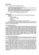 Konspekts 'Kulturoloģija', 1.