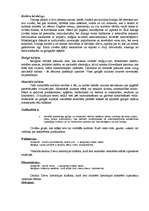 Konspekts 'Kulturoloģija', 2.